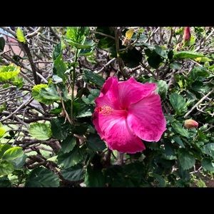 Meet your Posher, Zeynep